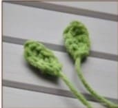 demogorgon-flower-leaves