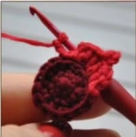 demogorgon-flower-petals